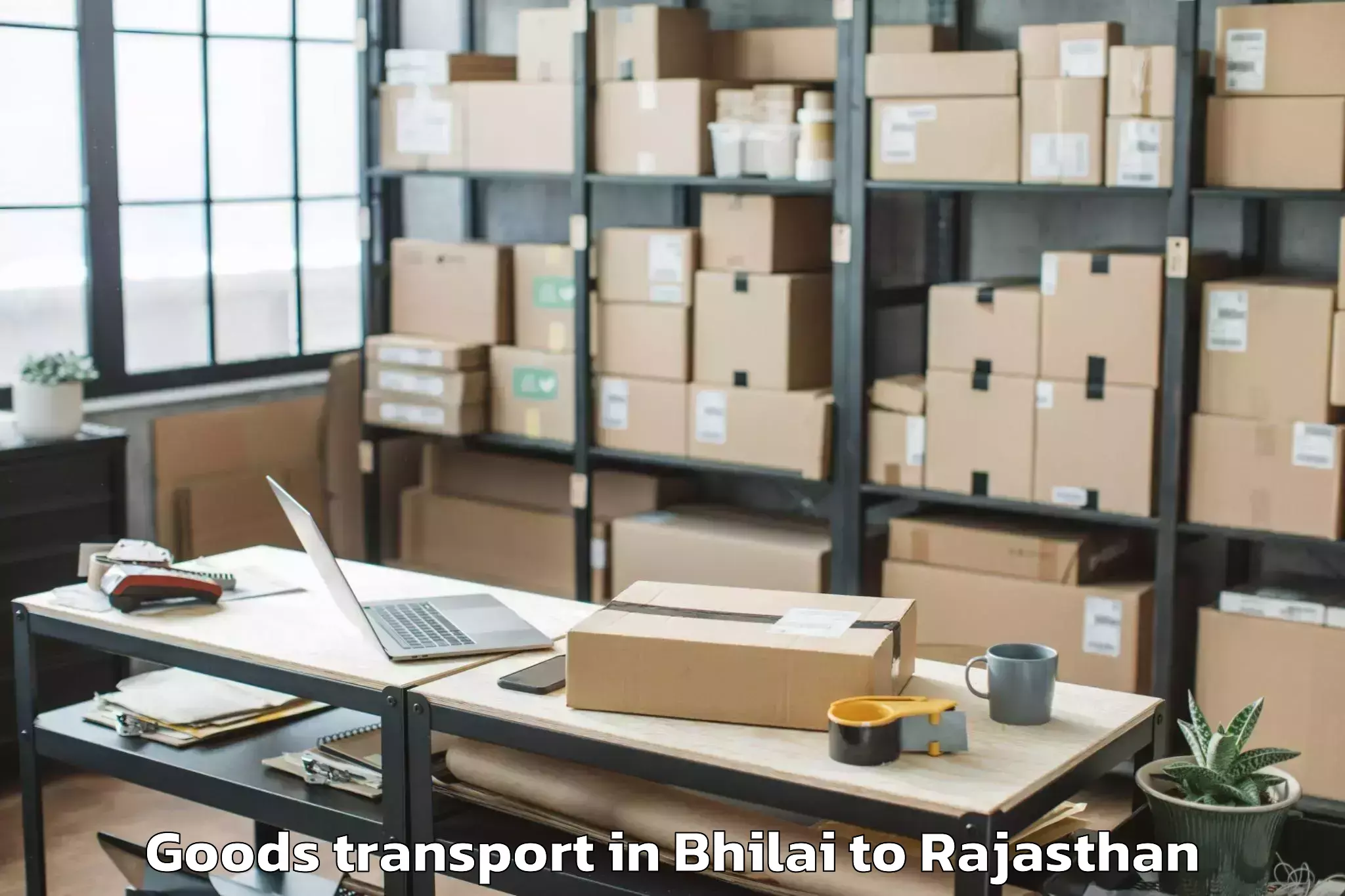 Affordable Bhilai to Baran Goods Transport